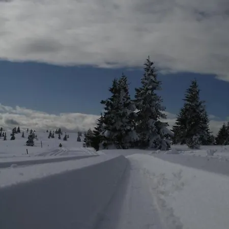 Hoyfjellshotell As *
