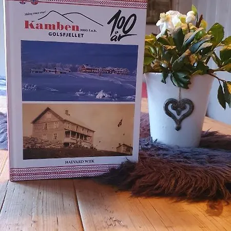 Hoyfjellshotell As *