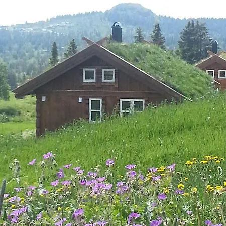 Hoyfjellshotell As