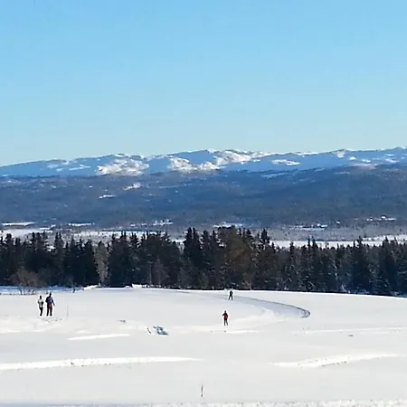 Hoyfjellshotell As Kamben