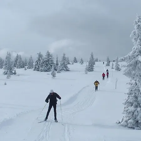 Hoyfjellshotell As *